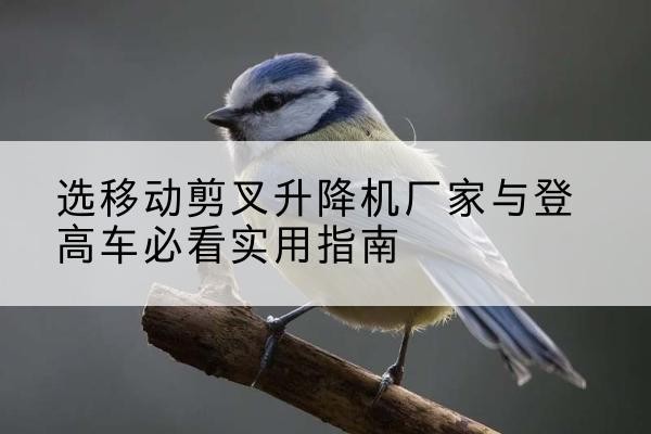 吴兴电动升降机厂家-选移动剪叉升降机厂家与登高车必看实用指南