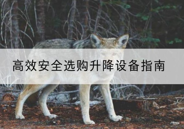 吴兴升降货梯厂家推荐-*安全选购升降设备指南