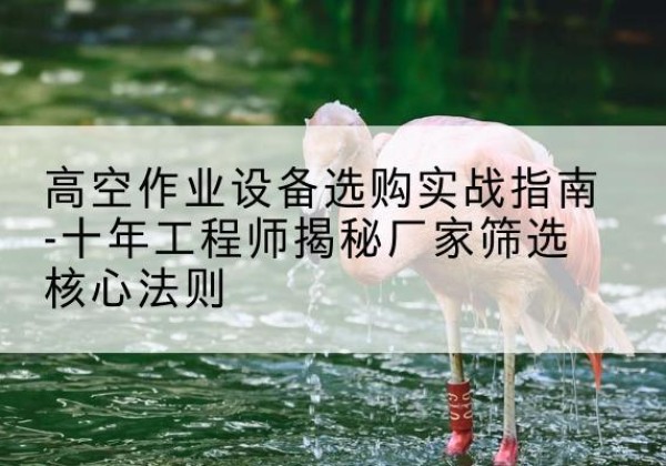 吴兴剪叉式升降机厂家-高空作业设备选购实战指南-十年工程师揭秘厂家筛选核心法则